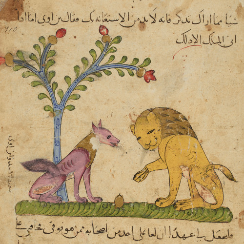 Le lion et le chacal