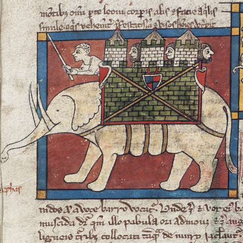 Physiologus (Éléphant)